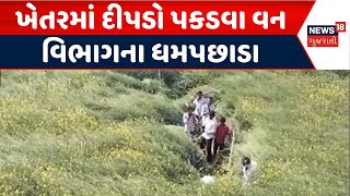 Banaskantha leopard News | ખેતરમાં  દીપડો પકડવા વન વિભાગના ધમપછાડા | Leopard Rescue | Forest |News18