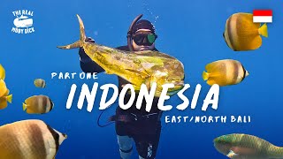 Part 1| Indonesia Travels: Freediving and Spearfishing in North/East Bali