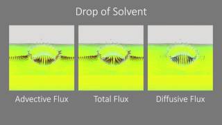 EuroVis2015 Vector Field Visualization of Advective-Diffusive Flows