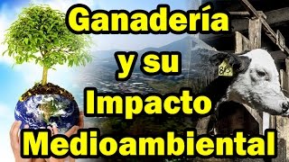 El verdadero Impacto Medioambiental de la Ganadería