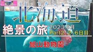 【北海道旅行2/6】旭山動物園 2023.6月