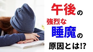 【午後の睡魔対策】ランチ後、急激に眠くなりませんか？｜千尋の栄養学