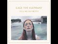 Sweetie Little Jean - Cage The Elephant | Instrumental