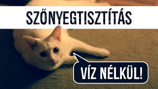 Száraz kárpittisztítás 💦🚫 Szőnyegtisztítás víz nélkül | Tényleg hatásos?