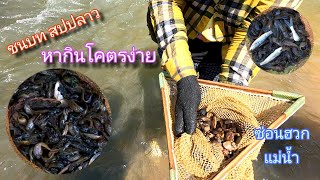 หากินตามธรรมชาติ ในชนบทของสปปลาว (ซ่อนฮวก)#ep1  ຫາກິນຕາມທຳມະຊາດ ໃນຊົນນະບົດຂອງລາວ(ຊ່ອນຮວກ)