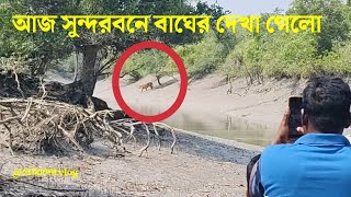 আজ সুন্দরবনে বাঘের🐅 দেখা গেলো | লাইভ সুন্দরবনের বাঘ দেখা 🧐