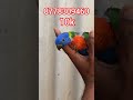 lorikeet birds birdslover birdsofkerala g j aviary