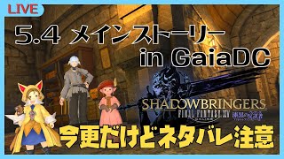 【 #FF14 】今更5.4メイン進めていくよ【ネタバレ注意】