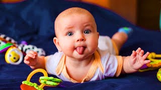 Try Not To Laugh With Funny Baby s Compilation