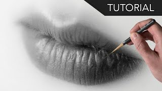 Blend and Shade Lips Hyper Realistic Pencil & Charcoal Drawing