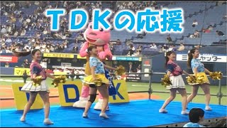 TDK の応援　2024/11/4 社会人野球日本選手権 京セラドーム大阪