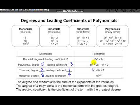 Video 3: Classifying Polynomials - YouTube