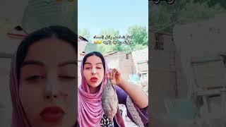 بث زينب بت الديوانيه #اكسبلور #اشتركو_بالقناه_حبايب_قلبي #shortvideo #funny #fypシ゚viral #fyp #لايك