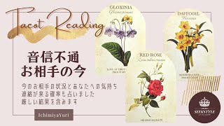 《音信不通》今のお相手の状況と連絡が来る確率を占いました※厳しい結果を含みます【タロット占い】