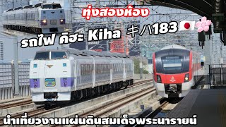 รถไฟ คิฮะ Kiha #キハ183  ขบวนพิเศษนำเที่ยวที่951 กรุงเทพ-ลพบุรี  ผ่านทุ่งสองห้อง #train