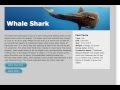 {Web-D, responsive 23} Images: CSS Alternatives