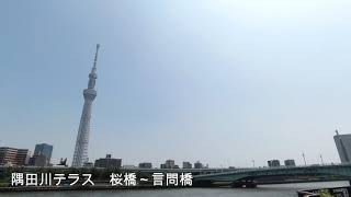 隅田川テラス　桜橋～言問橋 Sumida River Terrace. Sakura  Bridge to Kototoi Bridge