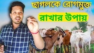 Goat farming training || ছাগল পালন প্রশিক্ষণ Day 6 || অধ্যায় : ছাগলের যত্ন ও পরিচর্যা part-1