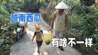 越南媳婦和兒子大早上去買西瓜，嚐嚐這西瓜咋樣，和國內一樣嗎?