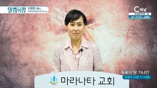 마라나타교회 이영은 목사┃축복의 땅 가나안 [C채널] 말씀의 창