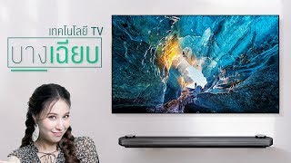 DailyC3 | OLED TV รุ่นใหม่ โชว์นวัตกรรมจอสุดบาง