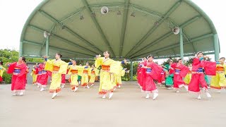 [4K] 夢舞隊　若葉 in ハーベスト 2018　ハーベストの丘