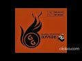 DJ Vibe – Global Grooves Volume 2 (CD2) 2002