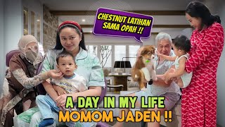 ANJING JADEN DI LATIH SAMA OPAH !!