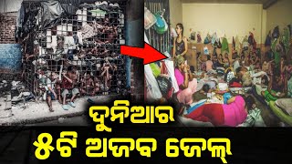 4 Most Unusual Prisons in The World | ଏହି ଜେଲ୍ ଗୁଡିକରେ କଏଦୀ ମାନଙ୍କର ଅବସ୍ଥା ଦେଖି ଆପଣଙ୍କର ହୋସ୍ ଉଡ଼ିଯିବ