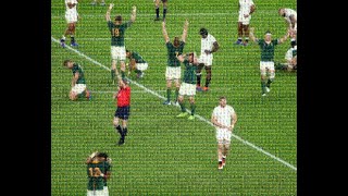 Springboks Lions Rugby 2021