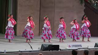 ハワイアンズ フラ甲エキシビジョン 小牛田高等学園 2018