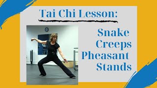 Tai Chi Lesson: Snake Creeps Pheasant Stands