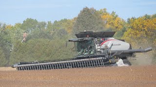 Soybean Harvest 2020 | Gleaner S97 Harvesting Soybeans Ontario Canada