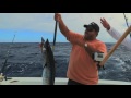 igfa anglers digest wahoo