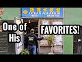 Master Fish Breeder Visits Aquarium Fish Store!