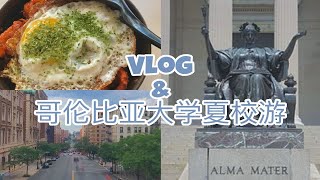 哥伦比亚大学夏校第一周!! 哥大夏校吐槽| 纽约旅游旅行| 日常vlog| 美食| Yifan