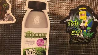 ThatFrigginGuyFromHamilton - Organic Grow Journey Ep#10 THE END with TNB Naturals #tnb