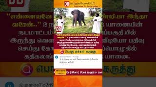 🔴BREAKING COMMENTS | நீதான் தைரியமான ஆள் ஆச்சே நில்லு! | #srilanka #mannar #elephant #funny #run