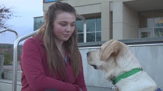 SCSU sophomore starts student effort to train dogs for people who are blind or visually impaired