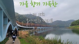 제18회 #울산 #인권 #마라톤대회 #10km