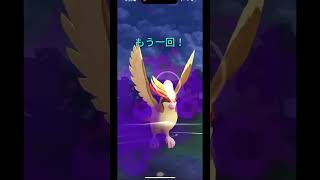 【ポケモンGO】シャドウピジョットが大暴れ！！#gbl #goバトルリーグ #ポケモンgo #スーパーリーグ  #shorts #pokemongo