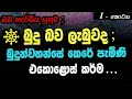 කර්මය - Karmaya saha vipaka