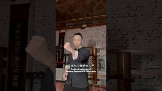 The movements you often do can also be used to practice kung fu #martialarts #wingchun