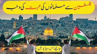Why Muslim Love Palestine? || Surprising Fact About Jeruselam || @shaurkibatein5264