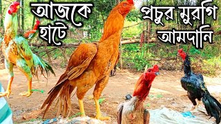 আজকের ফেকো হাটে প্রচুর মুরগি আমদানি//Feko murgi market//feko murgi hat