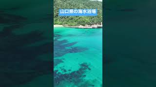 山口県のきれいなキャンプ場