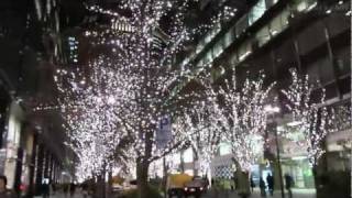 光都東京・LIGHTOPIA 2011 - Tokyo Illumination