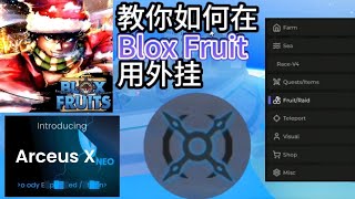 如何在在Blox Fruit用外挂 只要看了这部影片你就会了