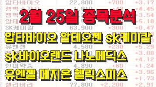 [주식] 2월25일 종목 분석 압타바이오 알테오젠 sk케미칼 sk바이오랜드 나노메딕스 유엔젤 메지온 헬릭스미스