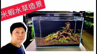 How to build a aquatic plant tank for shrimp